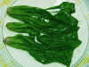Spinach