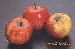 Elstar Apples