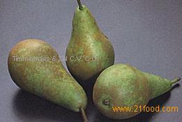Conference Pears