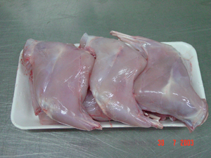 Rabbit hindleg