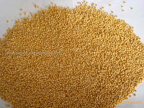 sell yellow millet