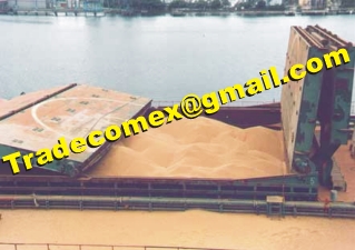 Soybeans from Brazil
