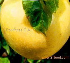Fruit products