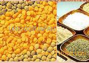 Corn