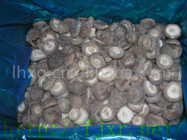 shiitake