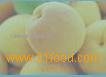 Apricot