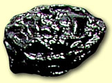 Dried Prunes