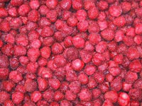 IQF Strawberry
