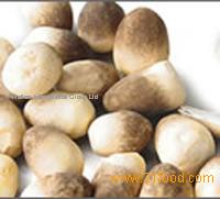 Straw Mushrooms