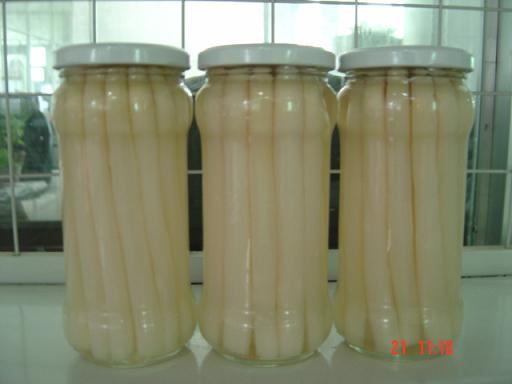 canned white asparagus