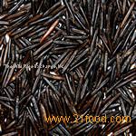 Giant California Wild Rice