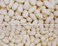 Blanched peanuts