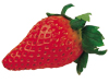 Organic Strawberry Puree (ETKO certificate confirmed by Lacon)