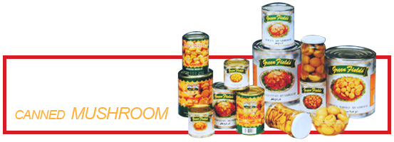 Canned Mushroom