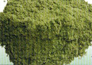 Wheat chlorin essence
