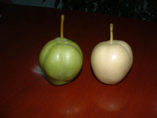 OFFER CHINESE SU PEAR