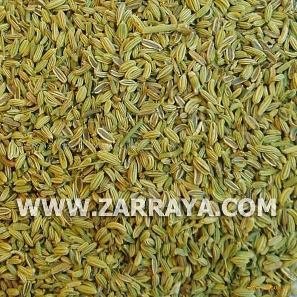 Fennel Seeds