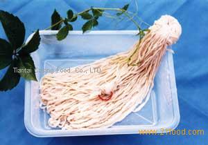 nature casing