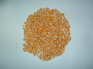 Popcorn