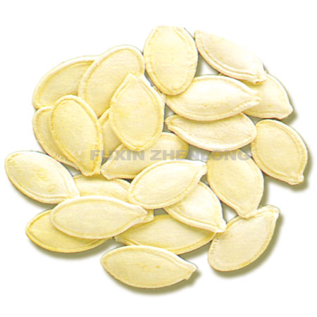 Pumpkinseed Inshell Shine Skin