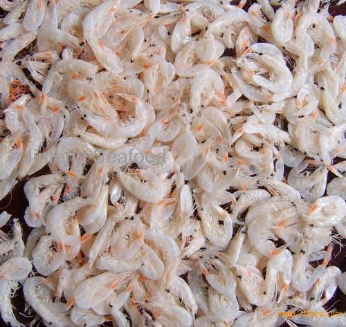 dried-small-shrimp-products-china-dried-small-shrimp-supplier