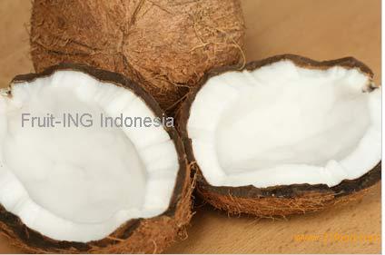 Indonesian Food  York on From United States New York   Coconut Manufactory Fruit Ing Indonesia