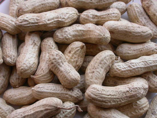 redskin peanuts