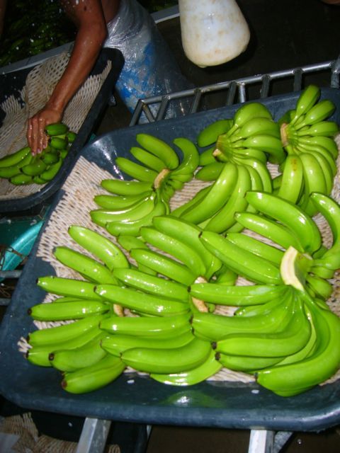 Cavendish bananas