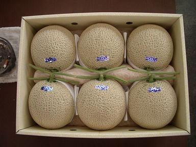 japanese musk melon