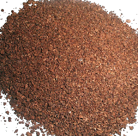 tea seeds