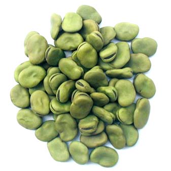 Green Kidney Beans