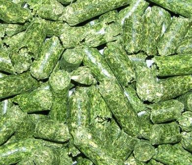 chinese alfalfa cubes  pellets