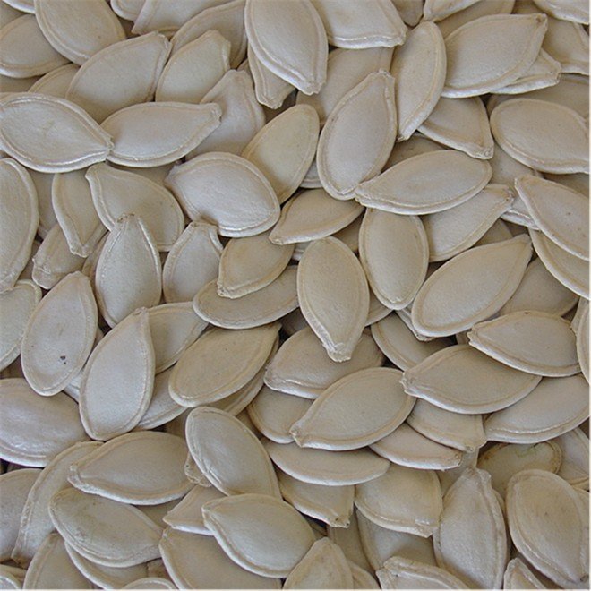 Hulled Pumpkin Seeds,China gxyuan price supplier - 21food