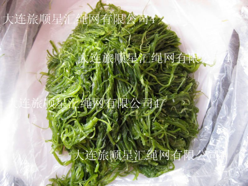 edible seaweed products,China edible seaweed supplier