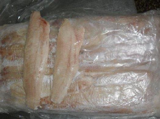 Frozen Hake fillet Merluccius Productus,China Oriental Regent price ...