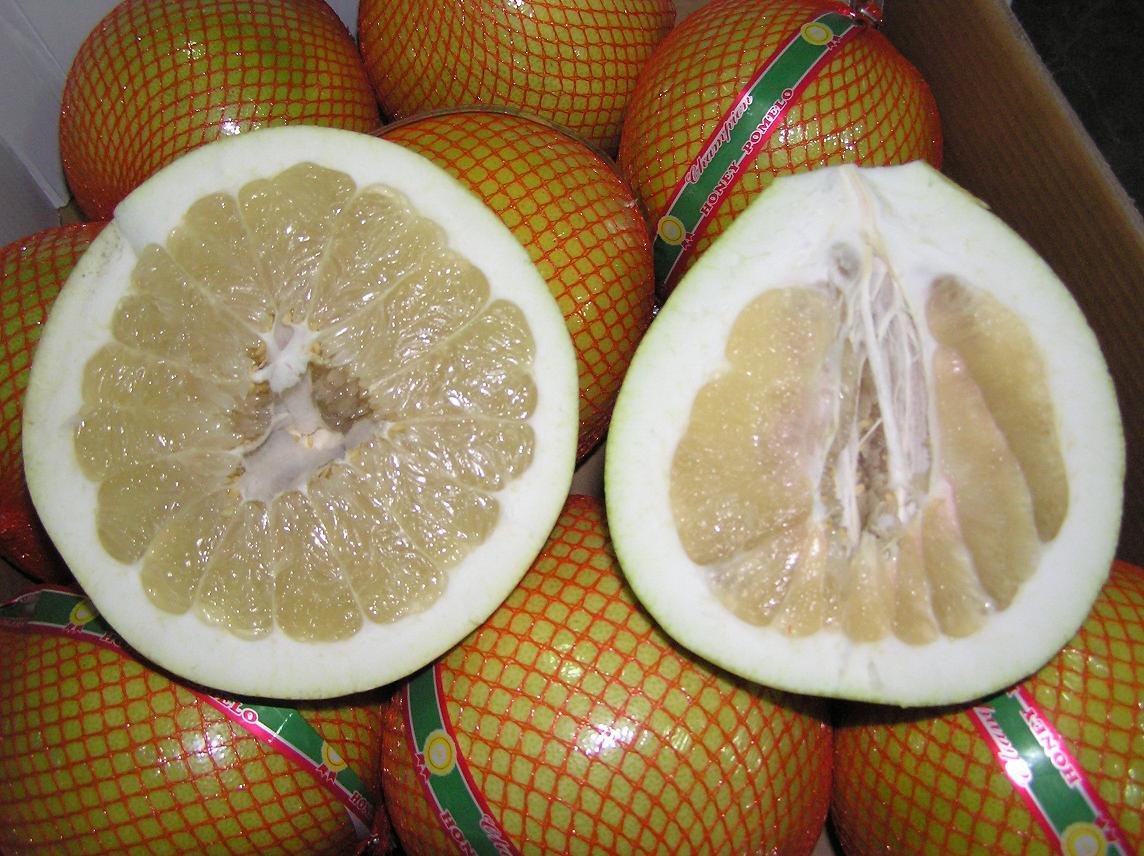 2010 crop of Honey pomelo,China luteng price supplier - 21food