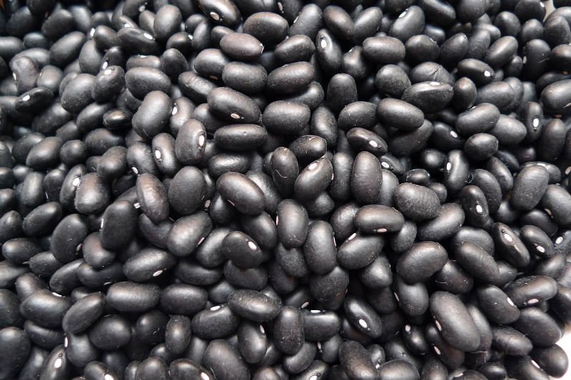 Chinese small black bean,China Xinfeng price supplier - 21food