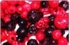  Frutti  di Bosco