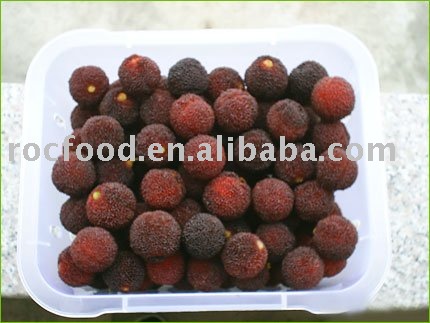  Red   Bayberry 