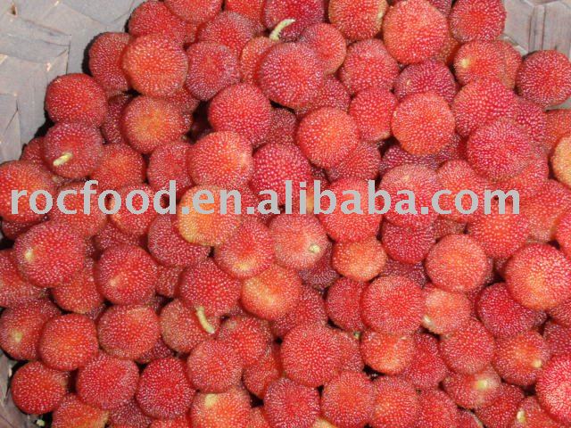 Fresh   bayberry 