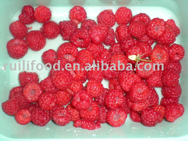 red frozen raspberry ,iqf raspberry