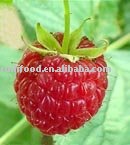 red iqf raspberry