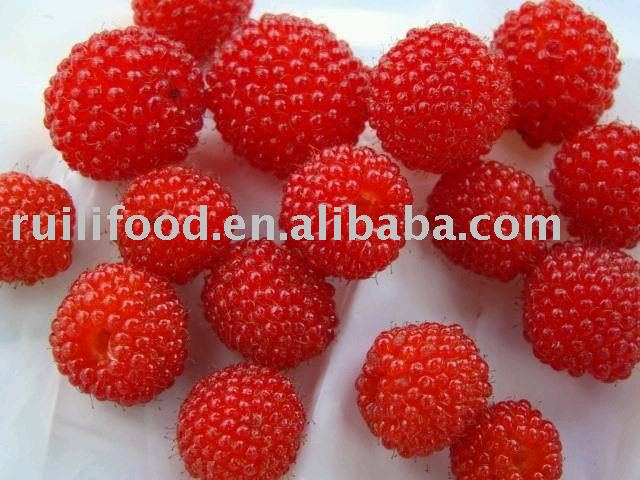 dandong original place ~~~ red raspberry , frozen raspberry , iqf raspberry