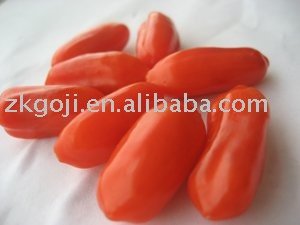 goji berries/lycium barbarum