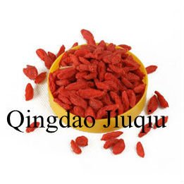 chinese lycium barbarum seed
