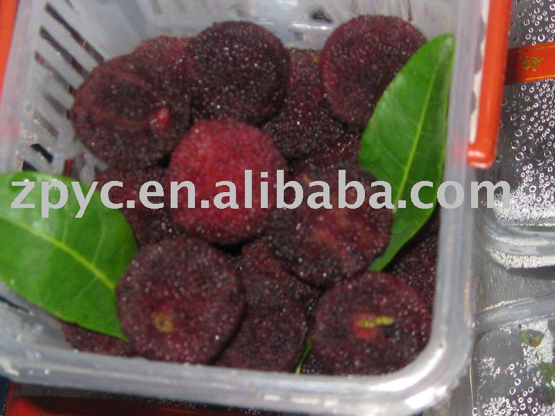 Chinese Red Bayberry