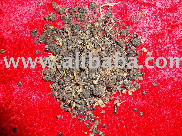 PHYTOLACCA BERRY DRIED