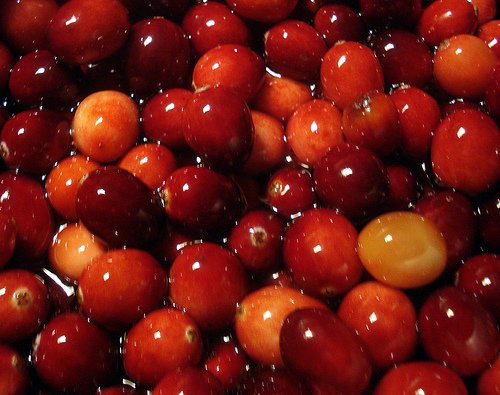  Fresh   Cranberries 