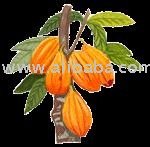 Cocoa Products