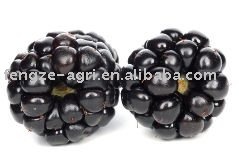New Individual Quick Frozen blackberry